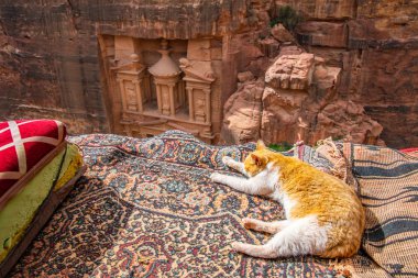 Cat sitting at a viewpoint on Al Khazneh tomb also called Treasu clipart