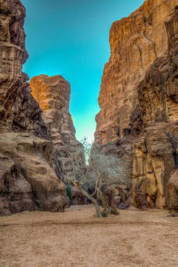 Abu Khashaba siq jordan çölde Wadi Rum