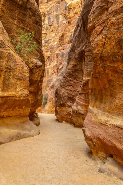 Siq canyon führt zu den antiken ruinen von petra, jordan — Stockfoto