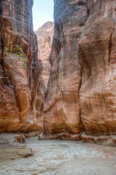 Cañón Siq que conduce a las antiguas ruinas de Petra, Jordania —  Fotos de Stock