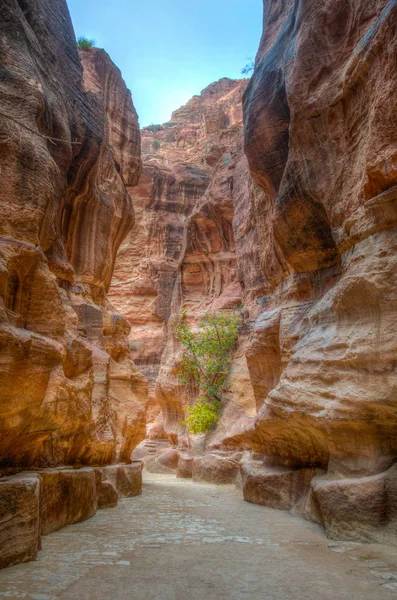 Cañón Siq que conduce a las antiguas ruinas de Petra, Jordania —  Fotos de Stock