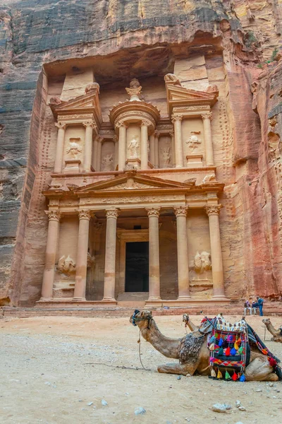 Kamele, die vor dem al-khazneh-Grab liegen, auch Treasu genannt — Stockfoto