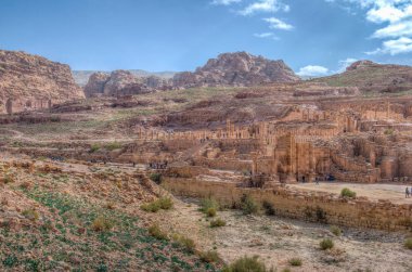 Petra, Jordan, 3 Ocak 2019: Evde beslenen hayvan büyük tapınağın kalıntıları