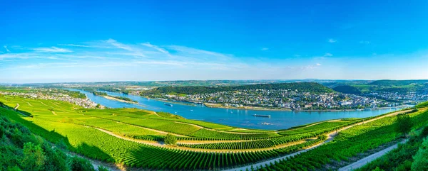 Vue aérienne de Ruedesheim am Rhein en Allemagne — Photo