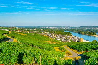 Almanya 'da Ruedesheim Rhein 'ın havadan görünümü