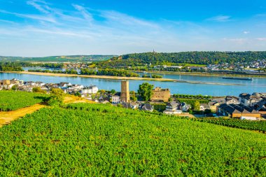 Almanya 'da Ruedesheim Rhein 'ın havadan görünümü