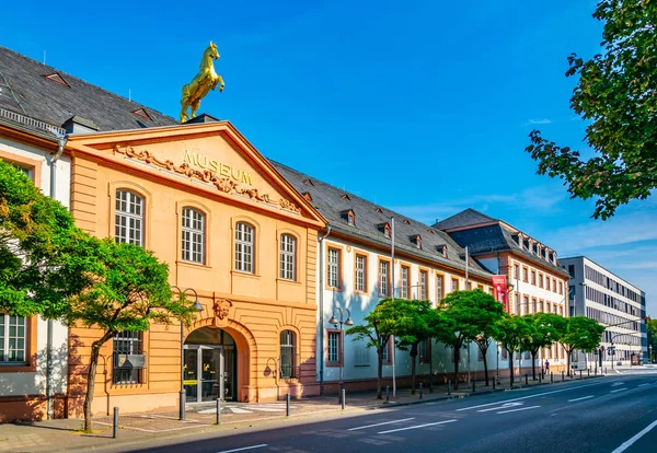 Landesmuseum in Mainz, Germany — стокове фото