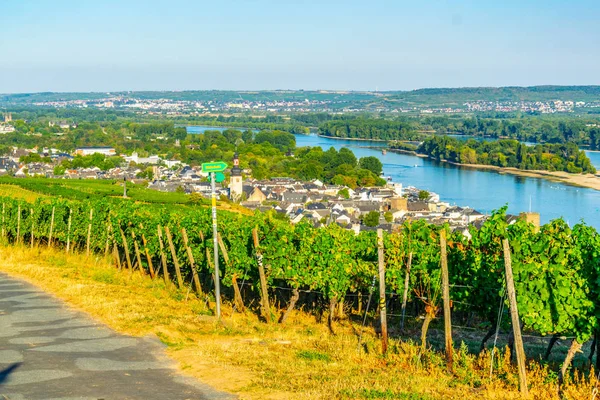 Veduta aerea di Ruedesheim am Rhein in Germania — Foto Stock