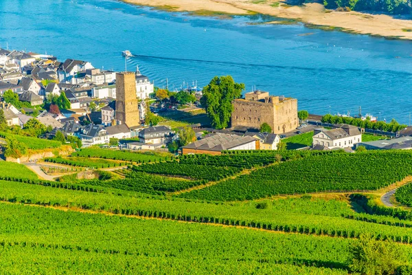 Rheingauers vinmuseum i Rüdesheim am Rhein i Tyskland — Stockfoto