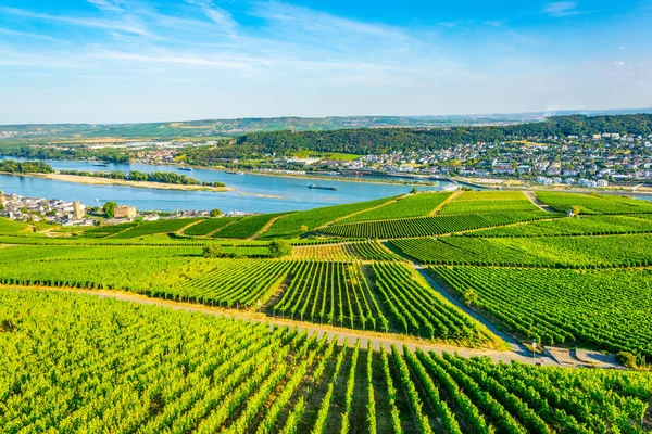 Pemandangan udara Ruedesheim am Rhein di Jerman — Stok Foto