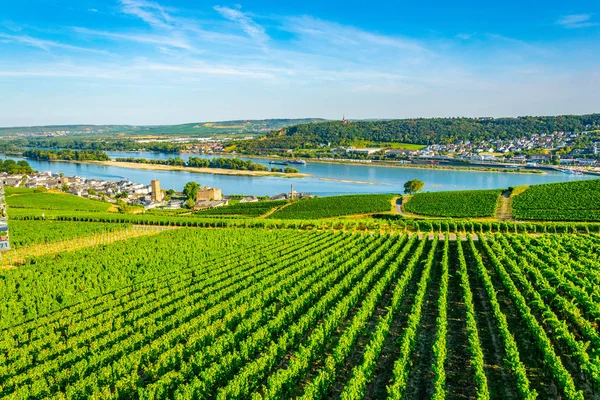 Flyg foto över Ruedesheim am Rhein i Tyskland — Stockfoto