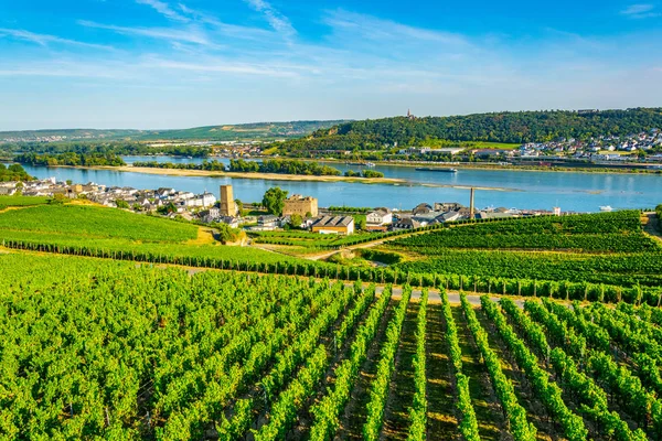 Veduta aerea di Ruedesheim am Rhein in Germania — Foto Stock