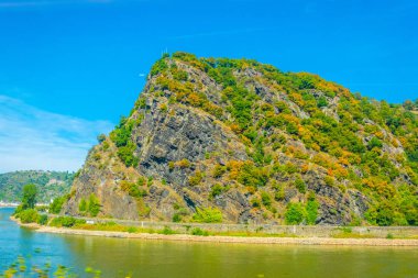 Lorelei Cliff Almanya 'da Rhein Nehri üzerinde.