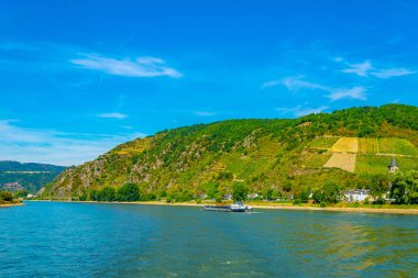 Almanya 'daki St. Goar yakınlarındaki üzüm bağları