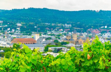 Petrisberg Tepesi 'nden Trier 'in havadan görünümü, Almanya