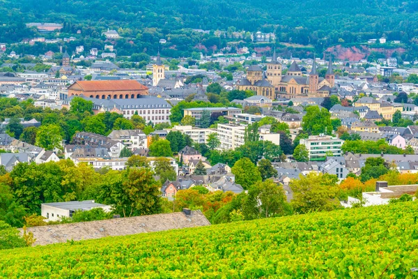 Petrisberg Tepesi 'nden Trier 'in havadan görünümü, Almanya