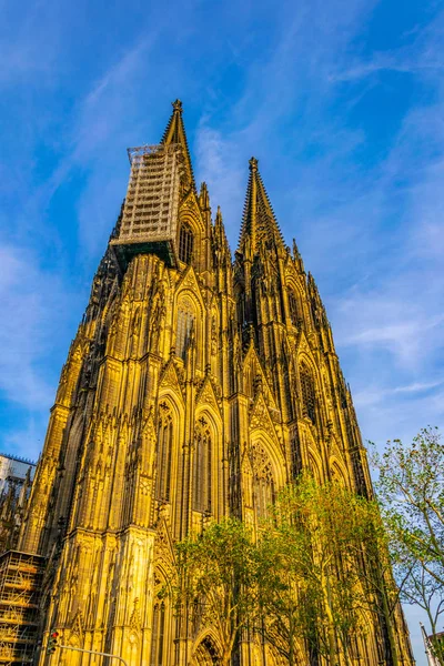 Detail des Doms in Köln, Deutschland — Stockfoto