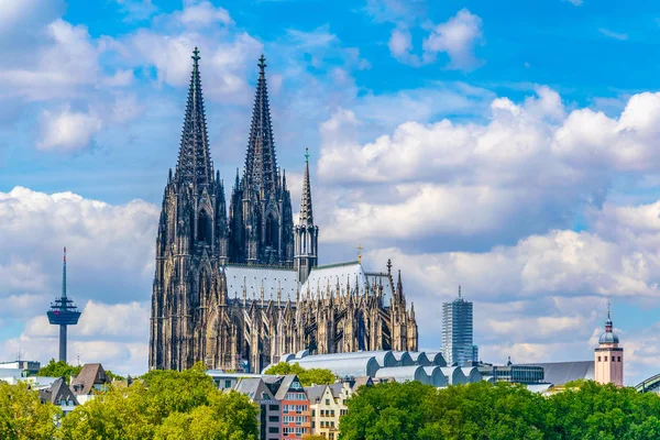 Detail van de kathedraal in Keulen, Duitsland — Stockfoto