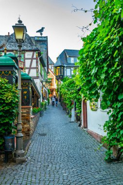 Rudesheim Rhein, Almanya, 16 Ağustos 2018: turistler strol