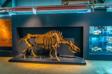 Essen, Almanya, 10 Ağustos 2018: Indus müze iç