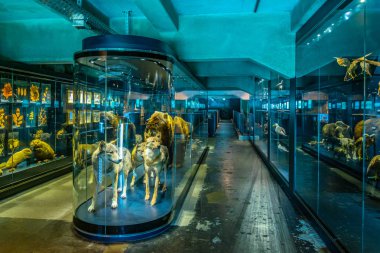 Essen, Almanya, 10 Ağustos 2018: Indus müze iç