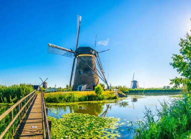 Kinderdijk yel değirmenleri güneşli yaz günü, Rotterdam, Hollanda sırasında görüntülenen