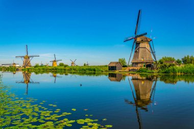 Kinderdijk yel değirmenleri güneşli yaz günü, Rotterdam sırasında görüntülenen, 
