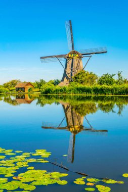 Kinderdijk yel değirmenleri güneşli yaz günü, Rotterdam sırasında görüntülenen, 