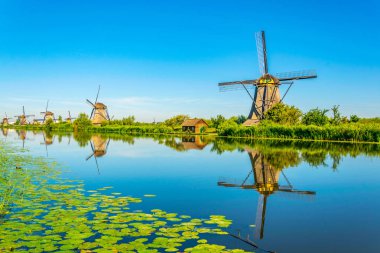 Kinderdijk yel değirmenleri güneşli yaz günü, Rotterdam sırasında görüntülenen, 
