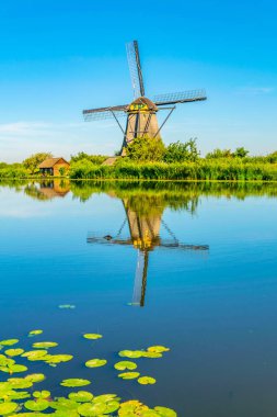 Kinderdijk yel değirmenleri güneşli yaz günü, Rotterdam sırasında görüntülenen, 