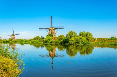 Kinderdijk yel değirmenleri güneşli yaz günü, Rotterdam sırasında görüntülenen, 