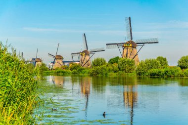 Kinderdijk yel değirmenleri güneşli yaz günü, Rotterdam sırasında görüntülenen, 