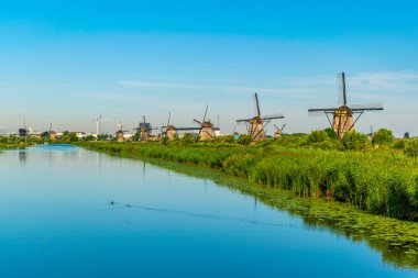 Kinderdijk yel değirmenleri güneşli yaz günü, Rotterdam sırasında görüntülenen, 