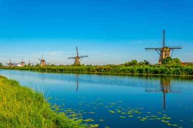 Kinderdijk yel değirmenleri güneşli yaz günü, Rotterdam sırasında görüntülenen, 