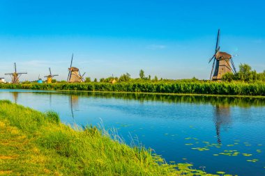 Kinderdijk yel değirmenleri güneşli yaz günü, Rotterdam sırasında görüntülenen, 