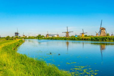Kinderdijk yel değirmenleri güneşli yaz günü, Rotterdam sırasında görüntülenen, 