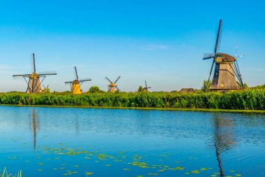 Kinderdijk yel değirmenleri güneşli yaz günü, Rotterdam sırasında görüntülenen, 