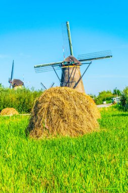 Kinderdijk yel değirmenleri güneşli yaz günü, Rotterdam sırasında görüntülenen, 