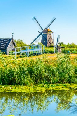 Kinderdijk yel değirmenleri güneşli yaz günü, Rotterdam sırasında görüntülenen, 