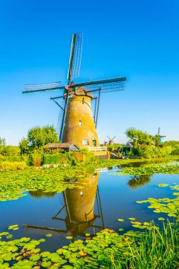 Kinderdijk yel değirmenleri güneşli yaz günü, Rotterdam sırasında görüntülenen, 