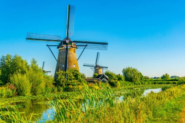 Kinderdijk yel değirmenleri güneşli yaz günü, Rotterdam sırasında görüntülenen, 