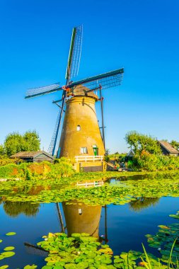 Kinderdijk yel değirmenleri güneşli yaz günü, Rotterdam sırasında görüntülenen, 
