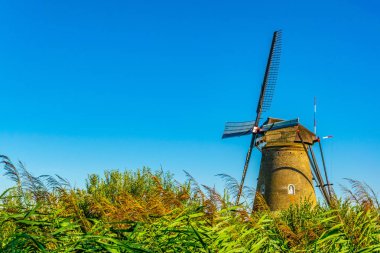 Kinderdijk yel değirmenleri güneşli yaz günü, Rotterdam sırasında görüntülenen, 