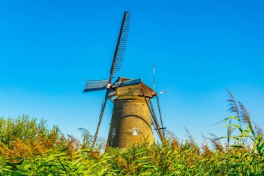 Kinderdijk yel değirmenleri güneşli yaz günü, Rotterdam sırasında görüntülenen, 
