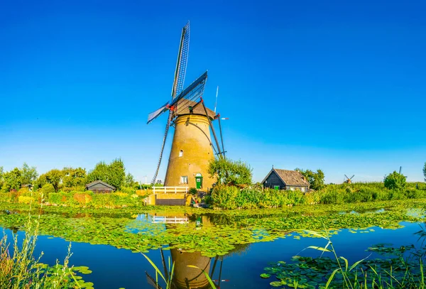 Moinhos de vento Kinderdijk vistos durante o dia ensolarado de verão, Rotterdam, Países Baixos — Fotografia de Stock