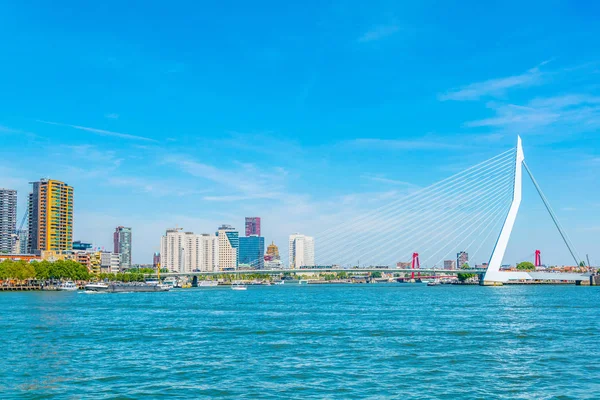 Erasmus Bridge Rotterdam, Hollanda — Stok fotoğraf