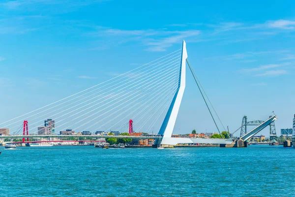 Мост Эразмус в Роттердаме, Нидерланды — стоковое фото