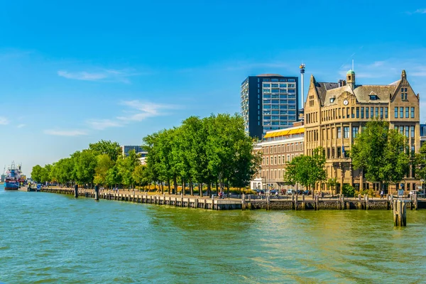 Riverside of New Maas in Rotterdam, Netherlands — Stock Photo, Image