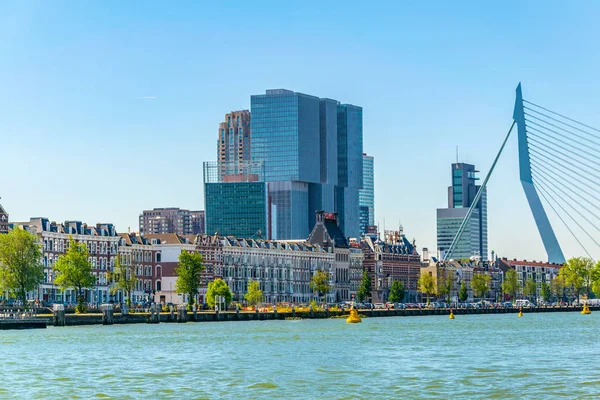 Erasmus Bridge in Rotterdam, Hollandia — Stock Fotó