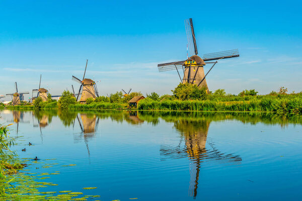Kinderdijk windmills viewed during sunny summer day, Rotterdam, 